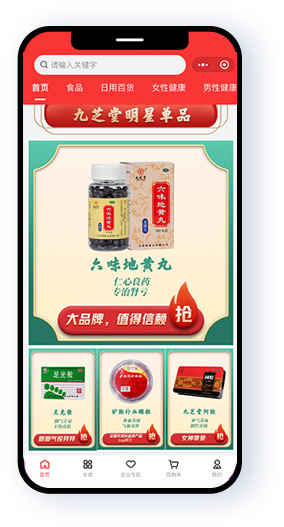 九芝堂微药店